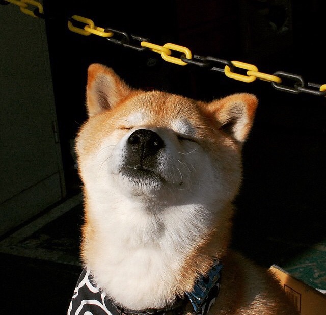 kaiyun.com-CBA球队青年球员培养机制优化，cba青年队怎么才能上调一队