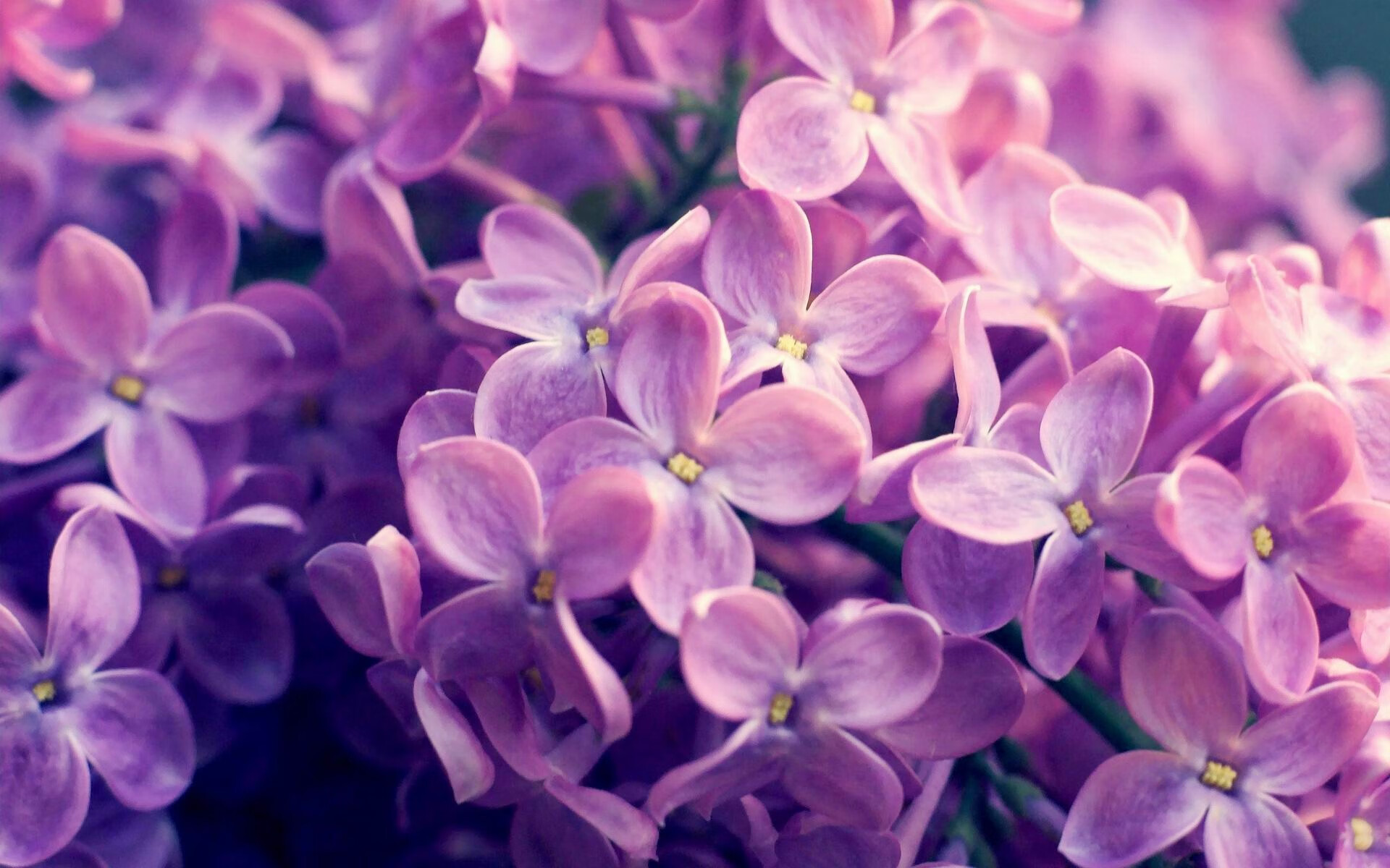 开云体育APP下载-IG与清华体育学科联合推出电竞战术公开课，清华电竞系的分数线是多少