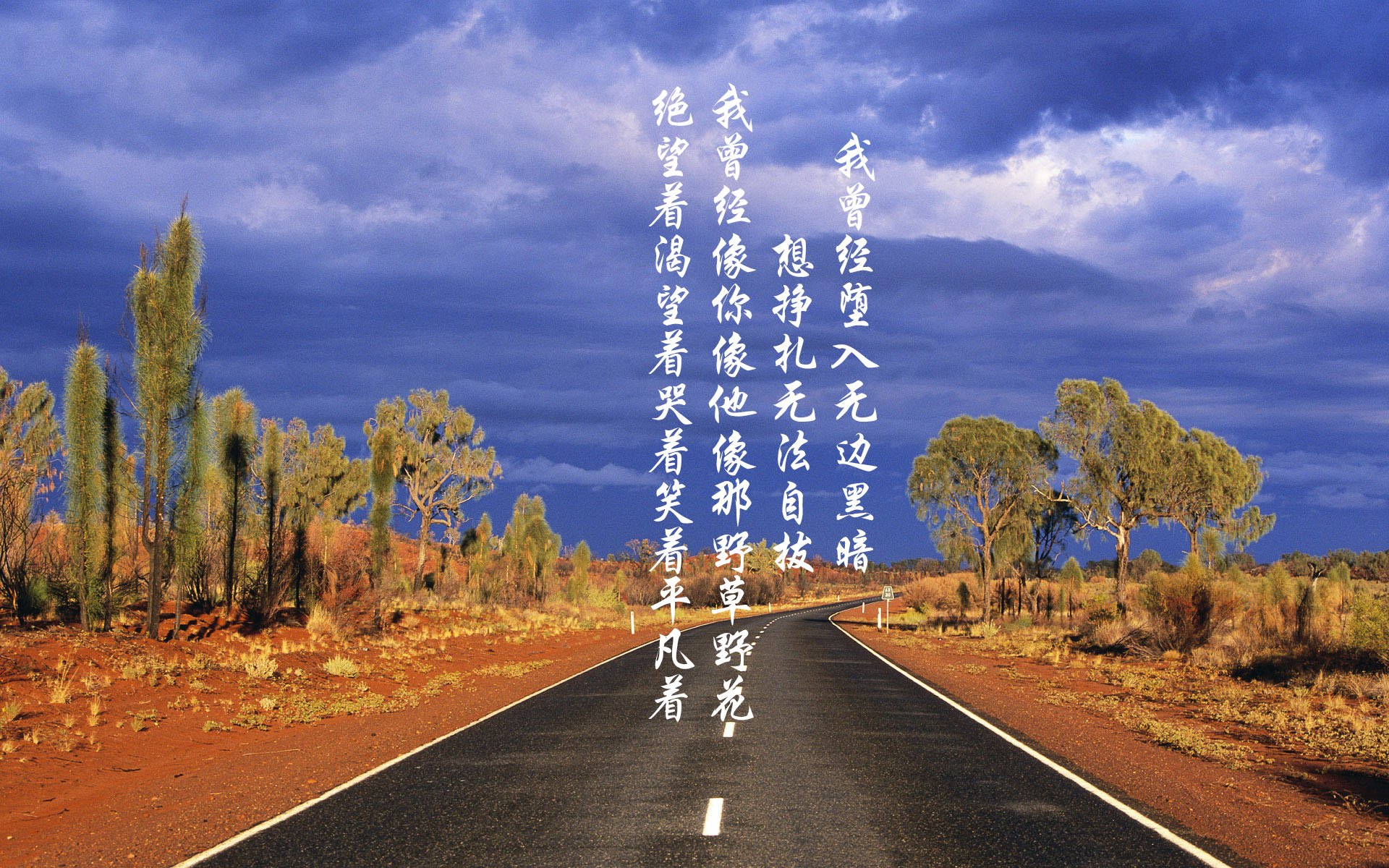 Team Liquid赛季总结发布，team liquid俱乐部