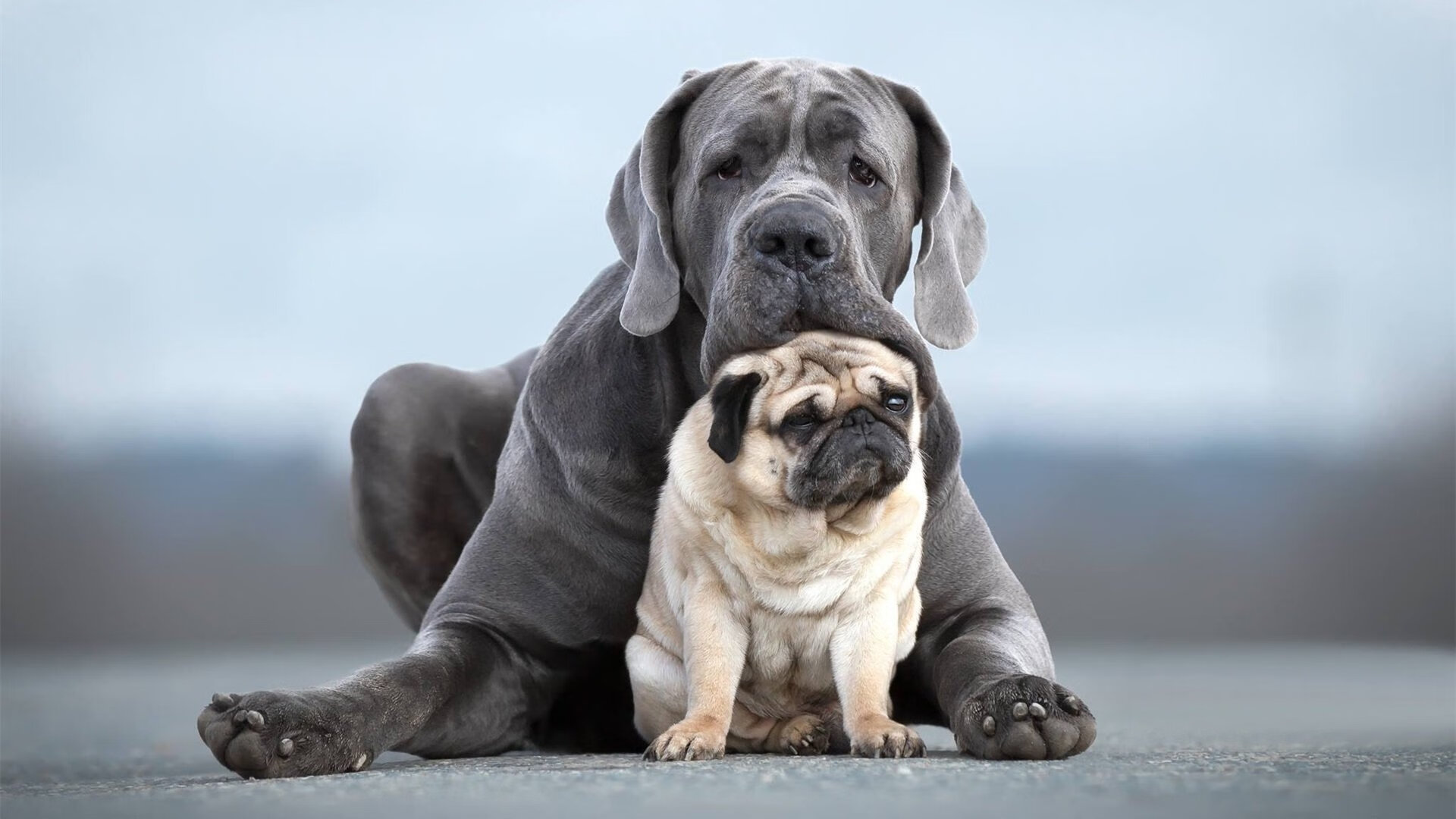 开云中国大陆-中国篮球运动公益推广，篮球公益活动方案
