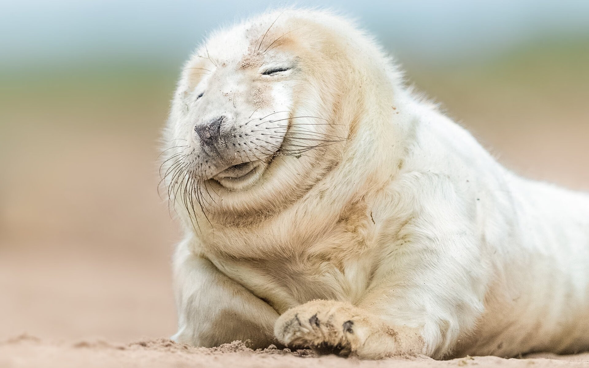 保利斯塔年轻球员快速成长,啊苏保利斯塔