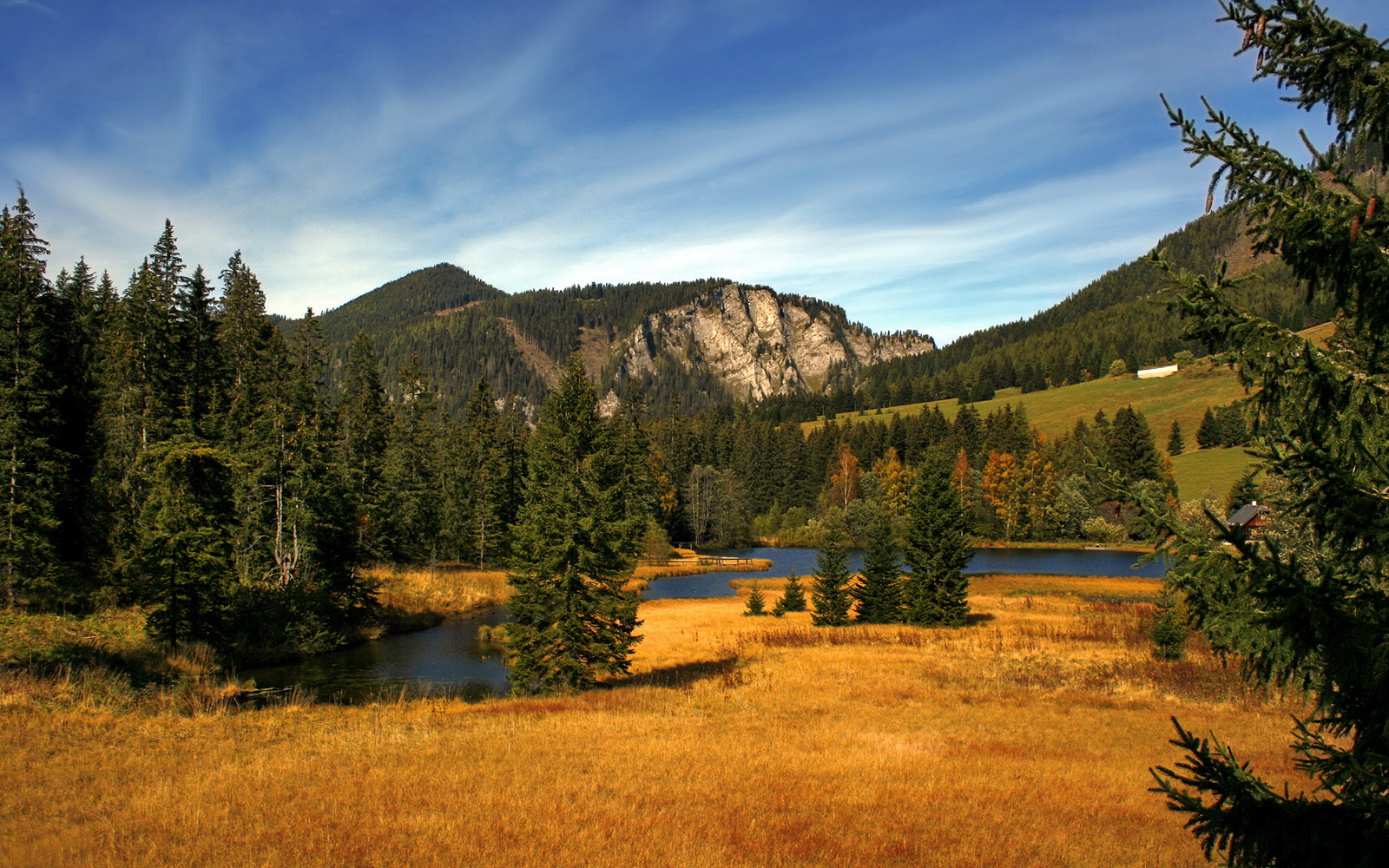 篮球传奇人物离世：前NBA球员生命终结留下无限遗憾，nba篮球运动员历史排名