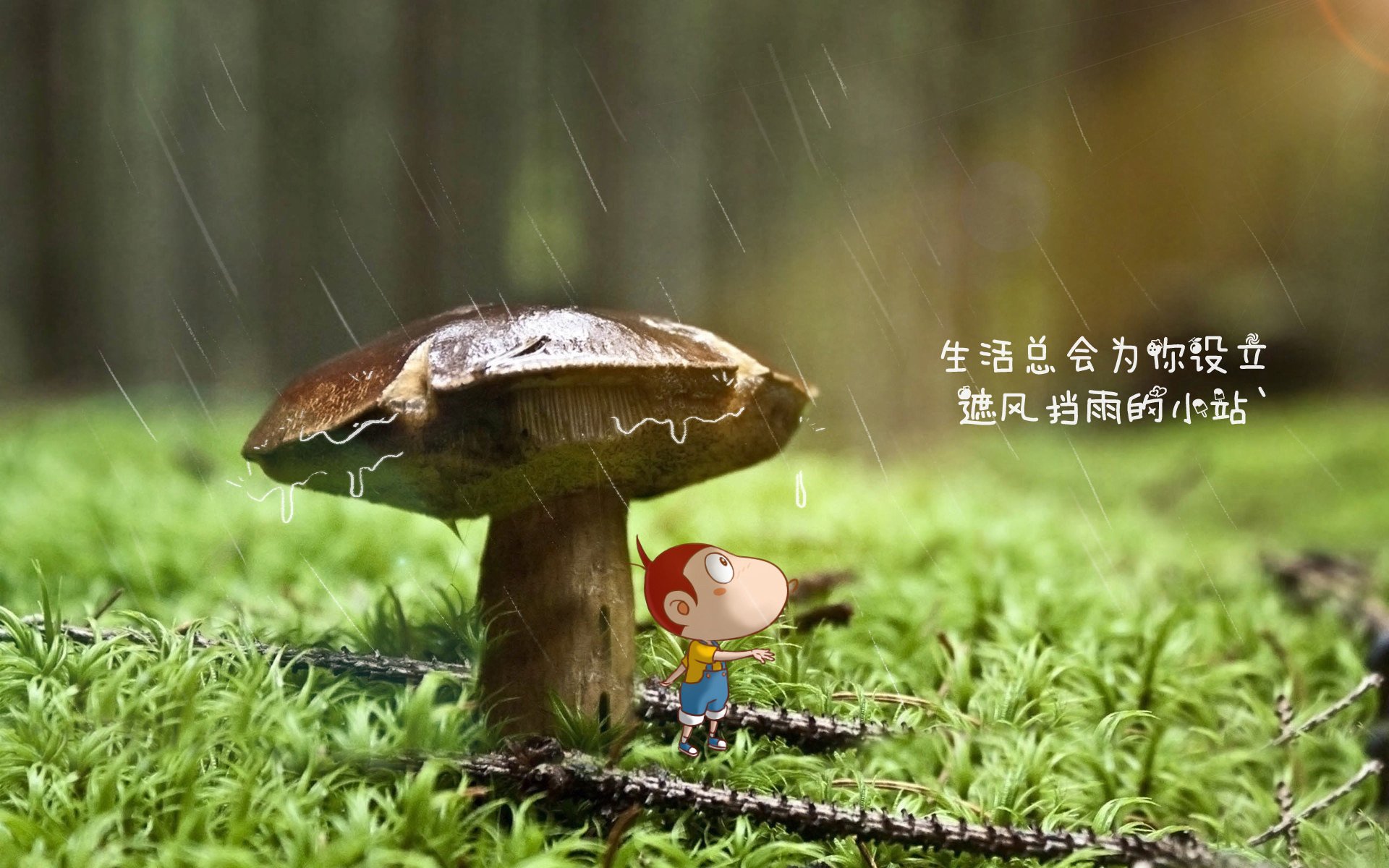 中国青少年篮球发展政策落实与效果评估，中国青少年篮球训练教学大纲测试指标