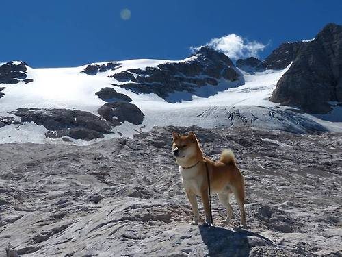 国足战术演变与人员配置适配度研究，国足技战术