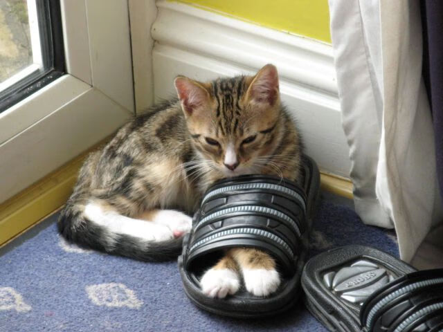 LOL跨服约战开启观众体验更具张力，lol跨服聊天