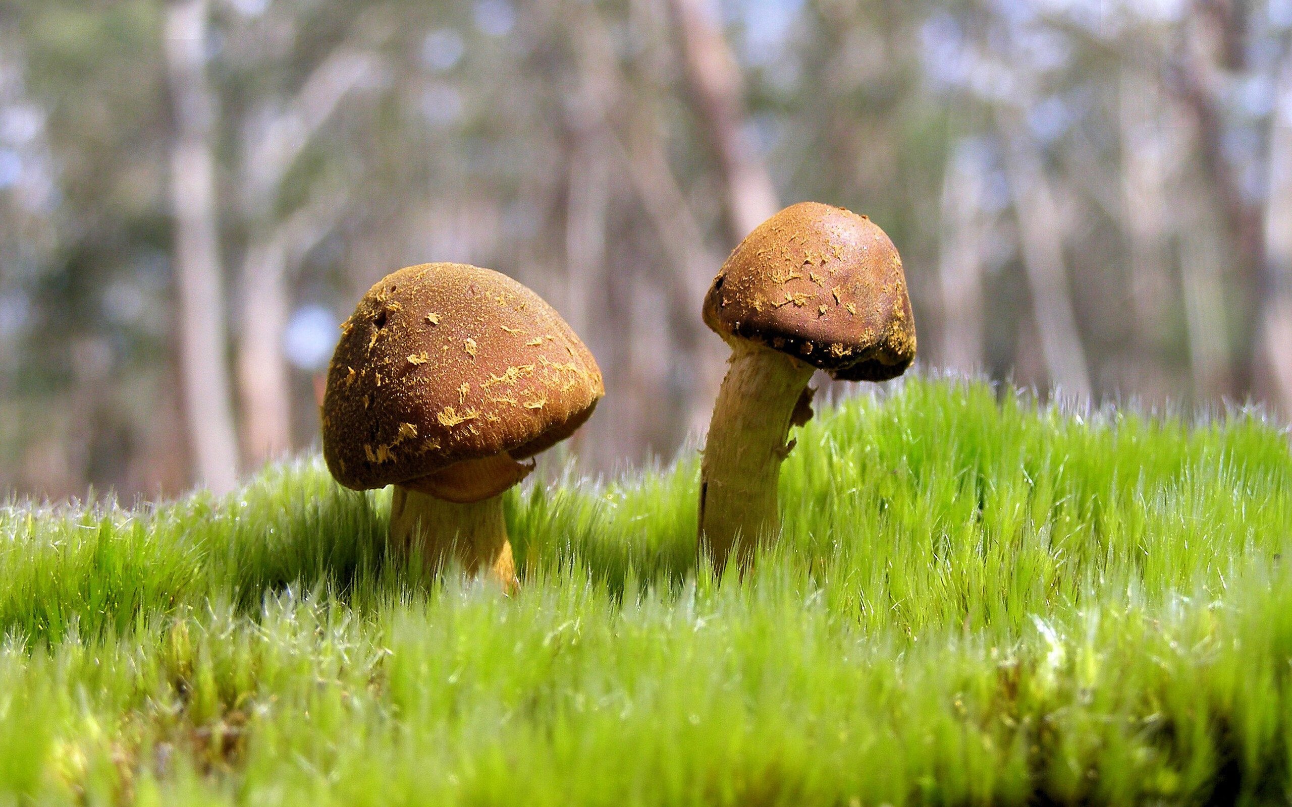 五大联赛是否加速门将攻防参与能力训练,五大联赛进攻型球队