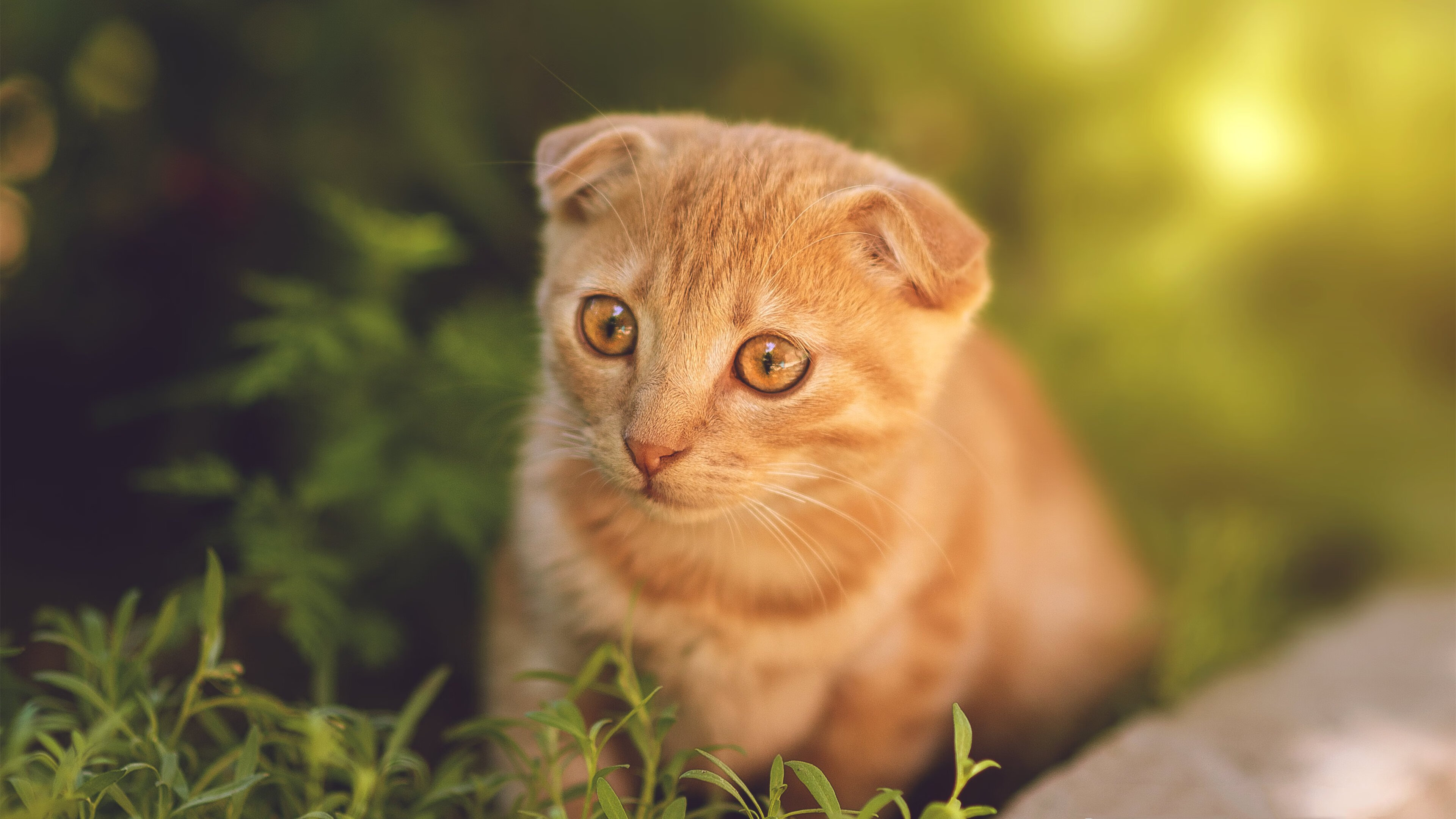 亚冠联赛中国足球战平 球员心理素质考验，中国足球亚冠名额