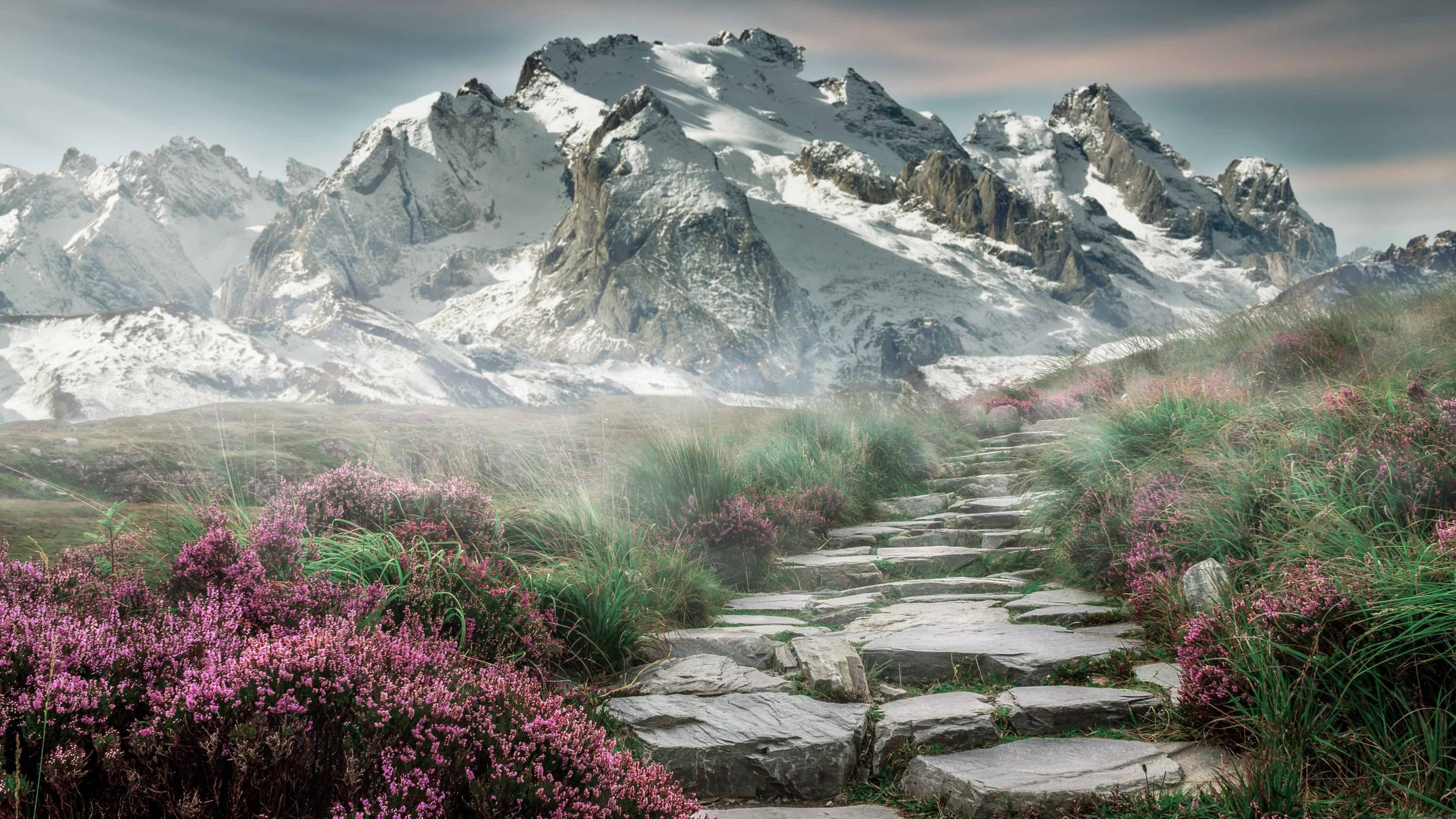 新加坡乒乓未来规划：如何利用赛制提升整体团队实力，新加坡乒乓球队员名单