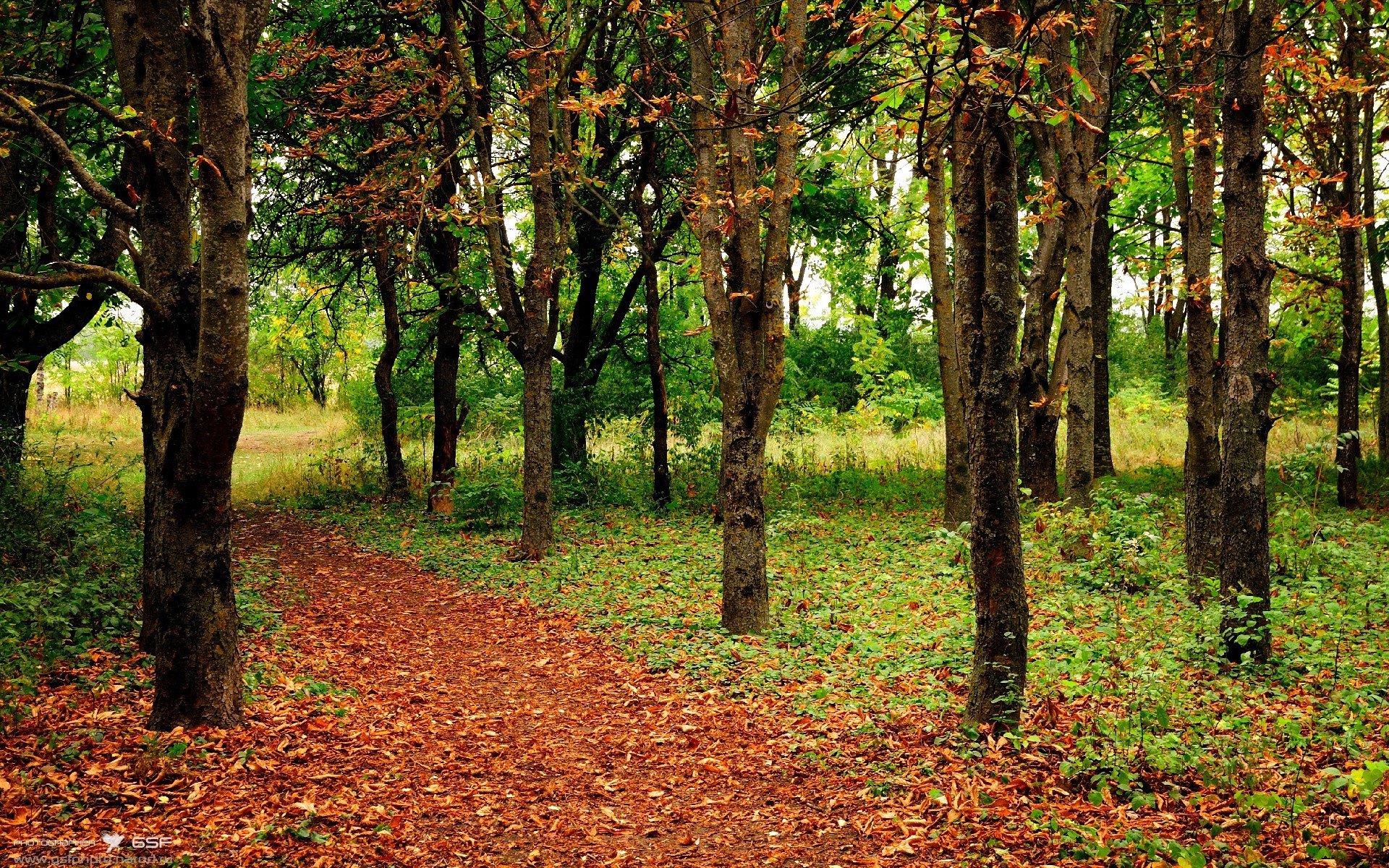 体育博览会展示最新科技成果，体育博览会展示最新科技成果有哪些