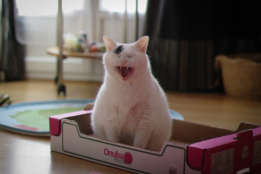 体育新闻中心公布运动科技产业成果展示项目名单，体育产业创新项目