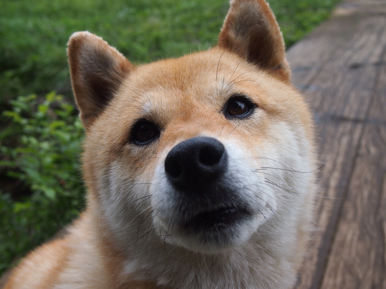 哈登遭遇冷门NBA总决赛，哈登总决赛得分