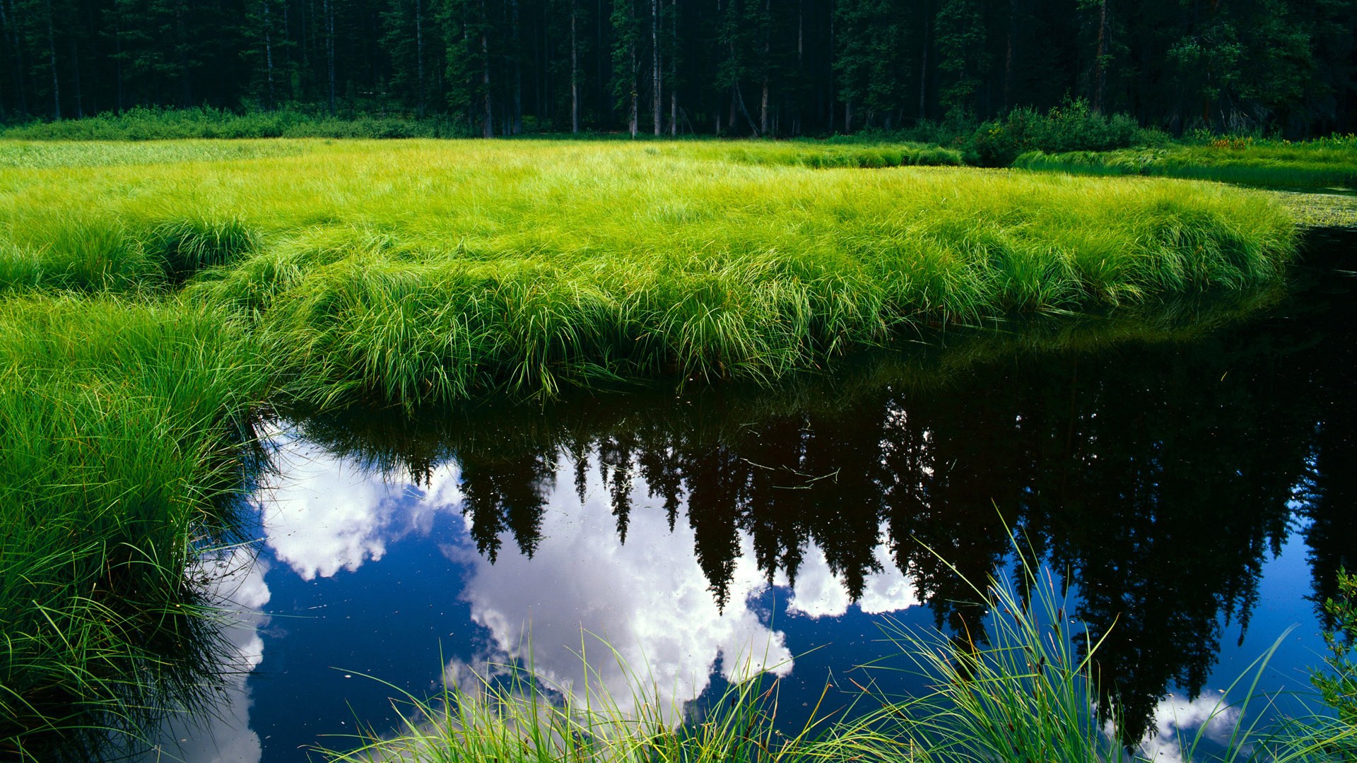 欧洲锦标赛激战正酣,德国队和西班牙队争锋夺冠,精彩持续不断