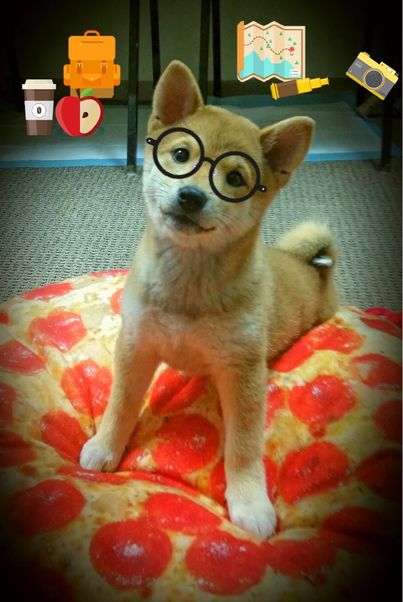 美洲杯激战不断：战术与拼搏共舞，美洲杯2021揭幕战