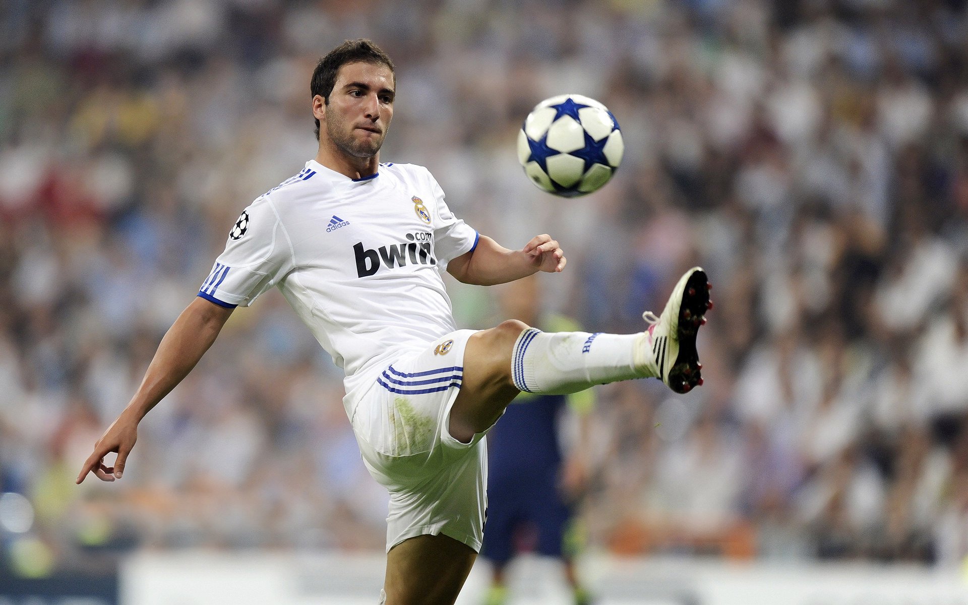 新月因球员疲劳拒赴香港比赛，新月new moon